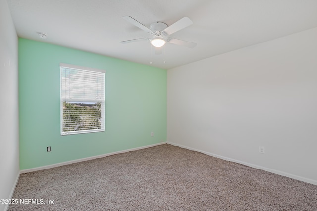 6775 Sandle Dr, Jacksonville, FL 32219 - photo 26