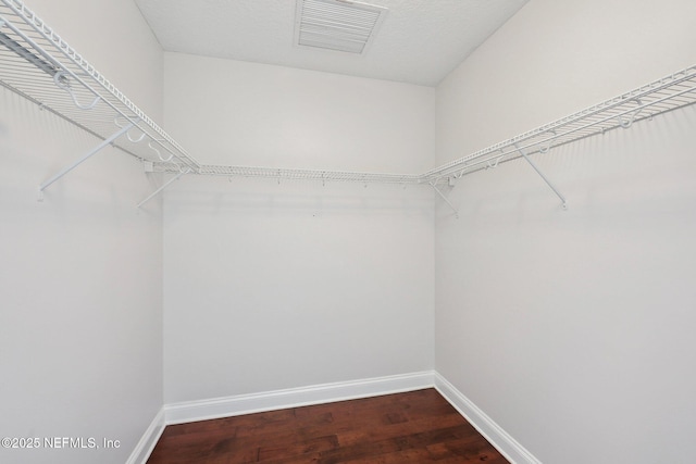 1431 Riverplace Blvd Unit 1707, Jacksonville, FL 32207 - walk in closet featuring dark wood finished floors