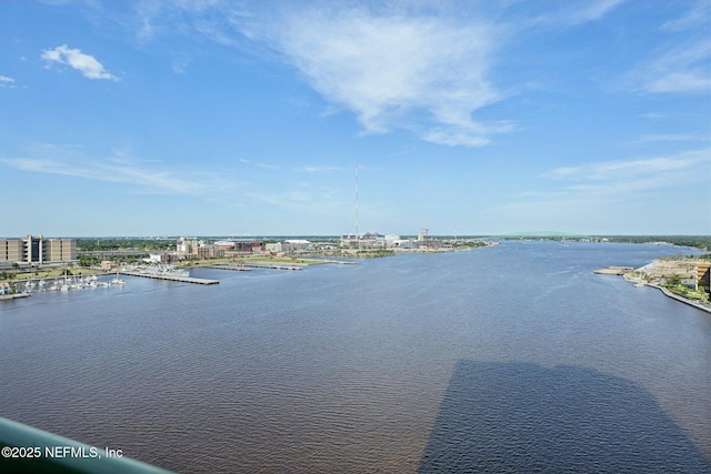 1431 Riverplace Blvd Unit 1707, Jacksonville, FL 32207 - water view