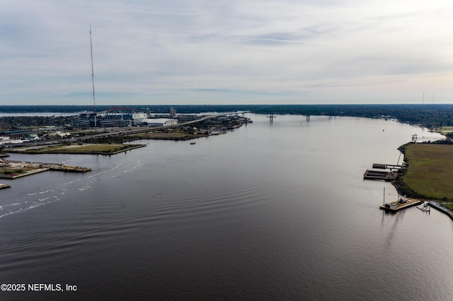 1431 Riverplace Blvd Unit 1707, Jacksonville, FL 32207 - water view