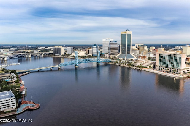 1431 Riverplace Blvd Unit 1707, Jacksonville, FL 32207 - view of urban area with a notable bridge and a nearby body of water