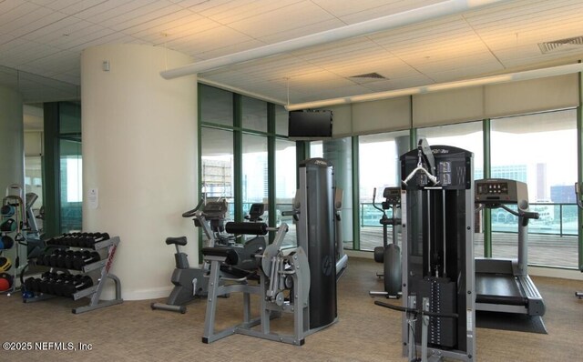 1431 Riverplace Blvd Unit 1707, Jacksonville, FL 32207 - exercise room with carpet and expansive windows