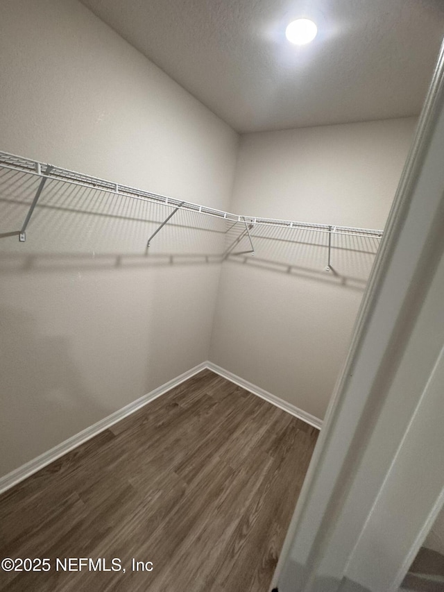 47 Laguna Forest Trl, Palm Coast, FL 32164 - walk in closet with dark wood-type flooring