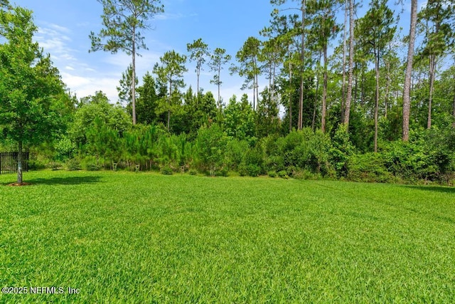 488 Montserrat Dr, Saint Augustine, FL 32092 - view of green lawn