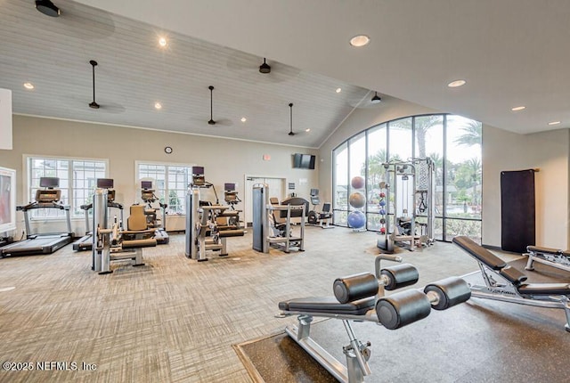488 Montserrat Dr, Saint Augustine, FL 32092 - workout area with plenty of natural light, carpet flooring, high vaulted ceiling, and recessed lighting