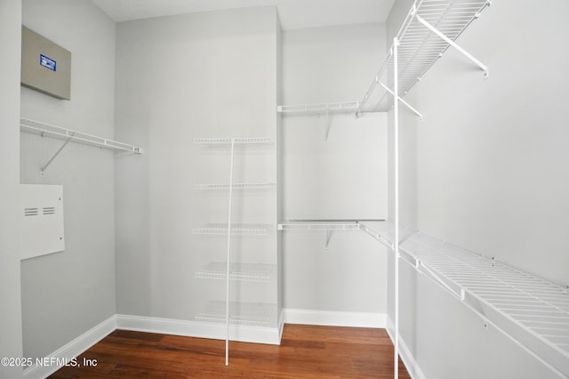10065 Ecton Ln, Jacksonville, FL 32246 - spacious closet featuring wood finished floors