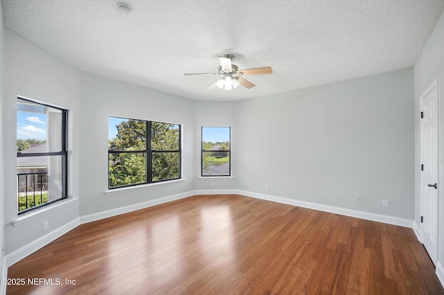 10065 Ecton Ln, Jacksonville, FL 32246 - spare room with ceiling fan, plenty of natural light, wood finished floors, a textured ceiling, and baseboards