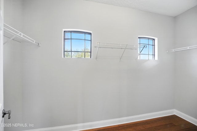 10065 Ecton Ln, Jacksonville, FL 32246 - walk in closet featuring dark wood-style floors