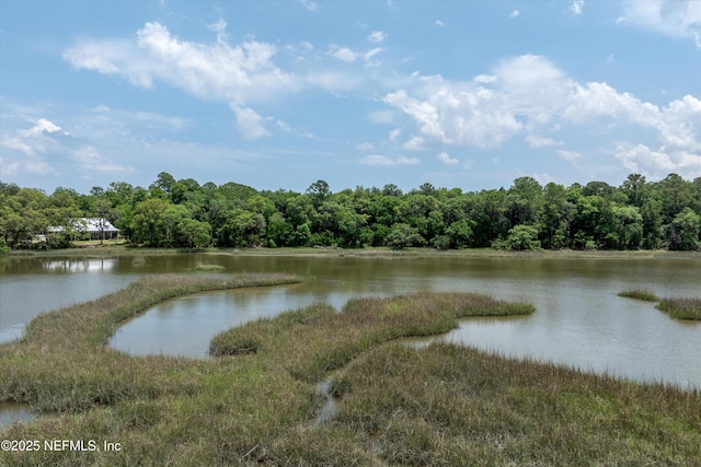 0 Barnwell Rd, Fernandina Beach, FL 32034