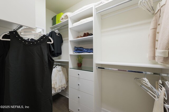 263 Forest Spring Dr, Ponte Vedra, FL 32081 - walk in closet with dark wood-type flooring