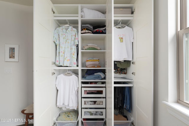263 Forest Spring Dr, Ponte Vedra, FL 32081 - view of closet
