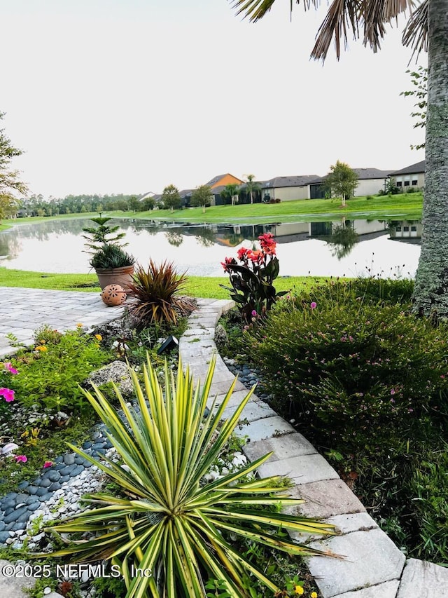 263 Forest Spring Dr, Ponte Vedra, FL 32081 - water view