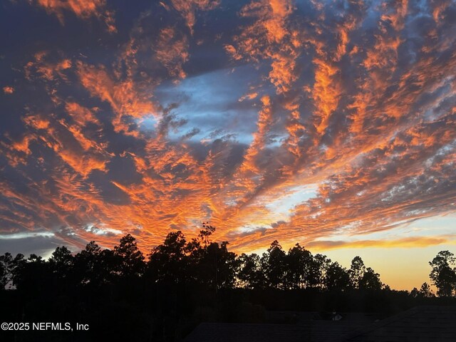 263 Forest Spring Dr, Ponte Vedra, FL 32081 - view of nature