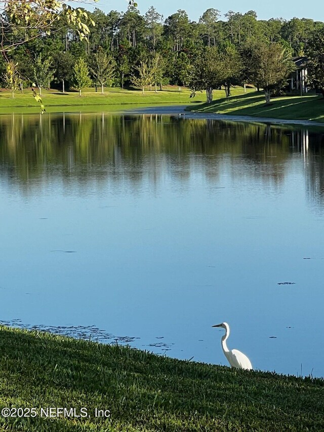 263 Forest Spring Dr, Ponte Vedra, FL 32081 - water view