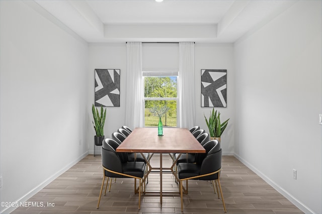 7242 Calamint Ave, Jacksonville, FL 32219 - dining room featuring wood finish floors, a tray ceiling, and baseboards
