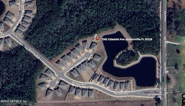 7242 Calamint Ave, Jacksonville, FL 32219 - aerial overview of property's location