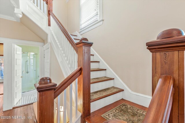 24 Sevilla St, Saint Augustine, FL 32084 - staircase featuring wood finished floors and plenty of natural light