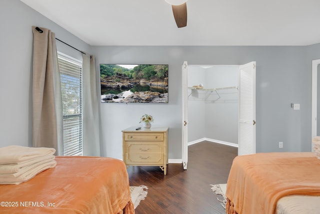 1113 Lee Rd, Jacksonville, FL 32225 - bedroom featuring wood finished floors, baseboards, ceiling fan, a walk in closet, and a closet