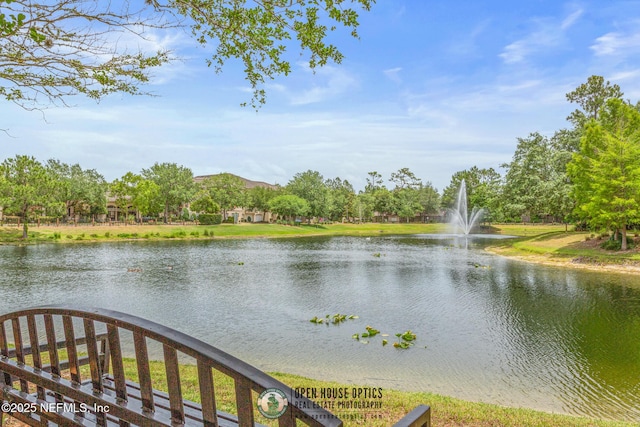 12700 Bartram Park Blvd Unit 1911, Jacksonville, FL 32258 - water view