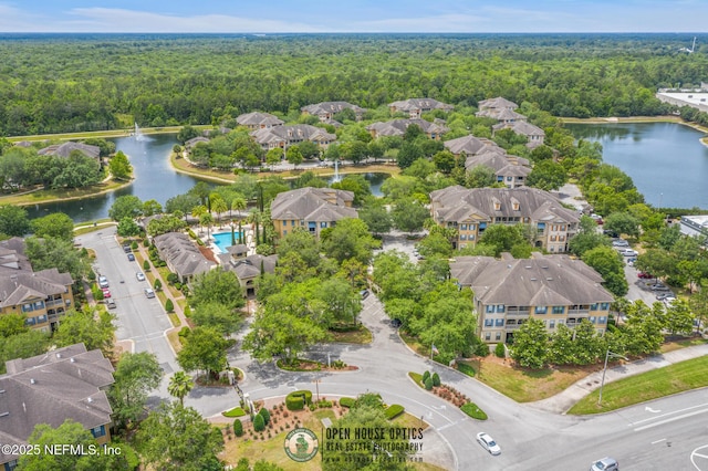 12700 Bartram Park Blvd Unit 1911, Jacksonville, FL 32258 - bird's eye view of a forest and a nearby body of water