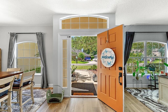 1252 Paradise Pond Rd, Saint Augustine, FL 32092 - entryway featuring a textured ceiling, light wood finished floors, and plenty of natural light