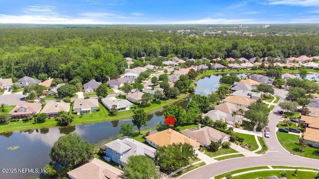 1252 Paradise Pond Rd, Saint Augustine, FL 32092 - aerial view of residential area featuring a forest and a nearby body of water