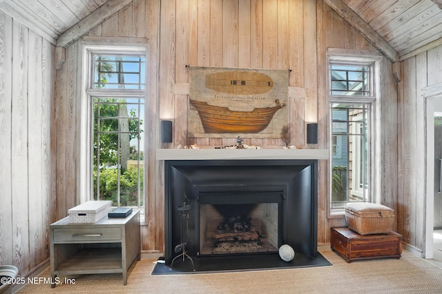 816 Ocean Front, Neptune Beach, FL 32266 - detailed view of a fireplace with flush hearth, wood walls, and carpet floors
