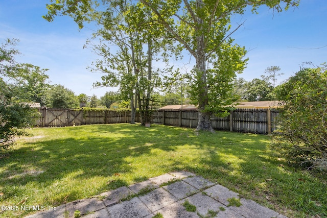 1073 Grove Park Ln, Orange Park, FL 32073 - view of yard featuring a patio