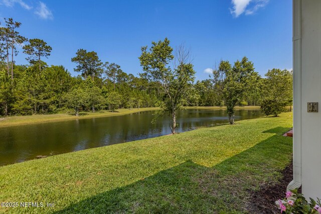 287 Richmond Dr, Saint Johns, FL 32259 - water view featuring a forest