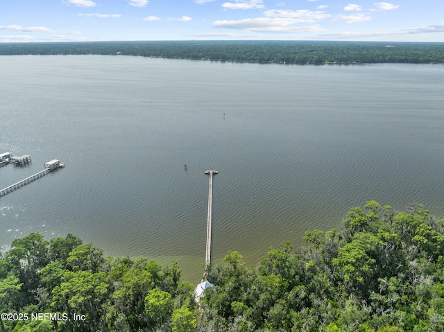 1500 Marsh Rabbit Way, Fleming Island, FL 32003 - drone / aerial view of a nearby body of water