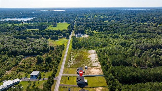 5801 SE County Road 21b, Keystone Heights, FL 32656 - drone / aerial view of a forest