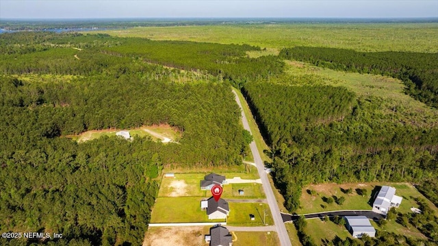 5801 SE County Road 21b, Keystone Heights, FL 32656 - bird's eye view of a forest