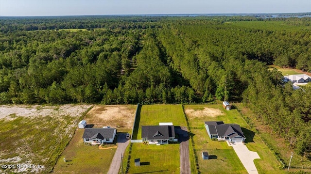 5801 SE County Road 21b, Keystone Heights, FL 32656 - bird's eye view of a forest