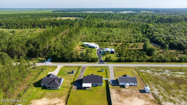 5801 SE County Road 21b, Keystone Heights, FL 32656 - drone / aerial view of a heavily wooded area