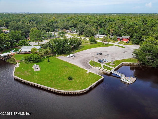 1233 Boca Grande Ave, Jacksonville, FL 32233 - aerial view of a forest and a large body of water