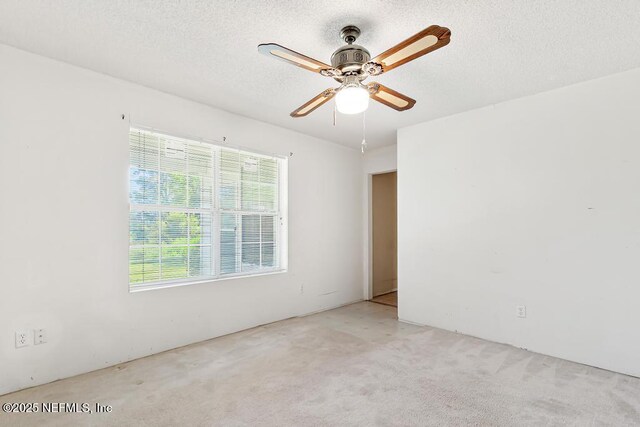 10381 Allene Rd, Jacksonville, FL 32219 - photo 27