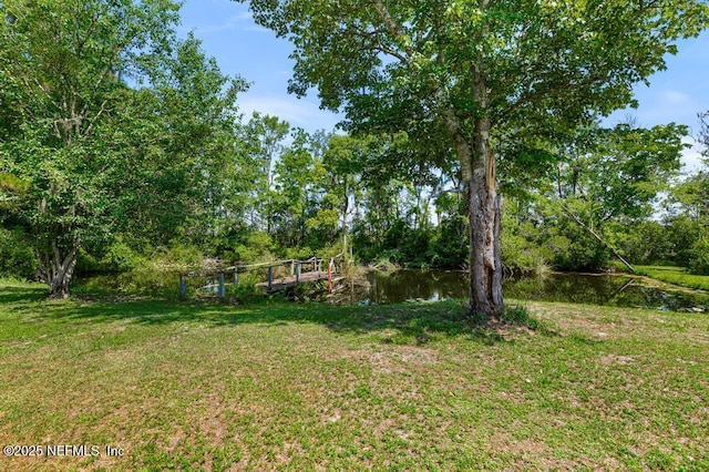10381 Allene Rd, Jacksonville, FL 32219 - photo 39
