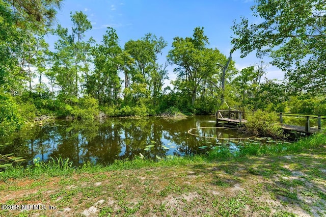 10381 Allene Rd, Jacksonville, FL 32219 - photo 40