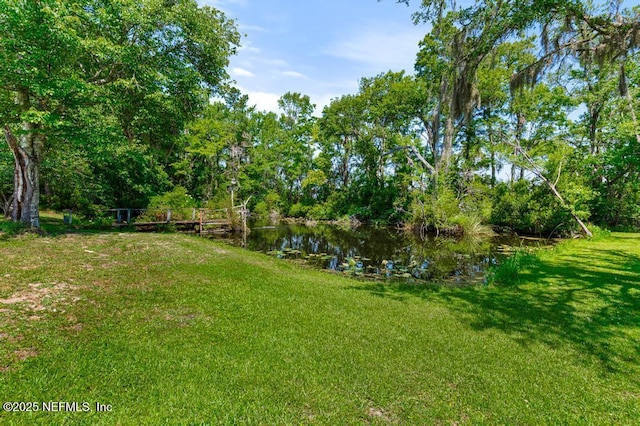 10381 Allene Rd, Jacksonville, FL 32219 - photo 41