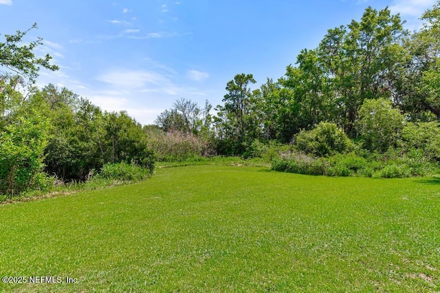 10381 Allene Rd, Jacksonville, FL 32219 - photo 42