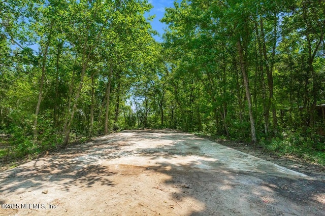 10381 Allene Rd, Jacksonville, FL 32219 - photo 43