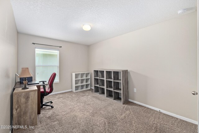 60 Millet Way, Saint Augustine, FL 32084 - photo 13