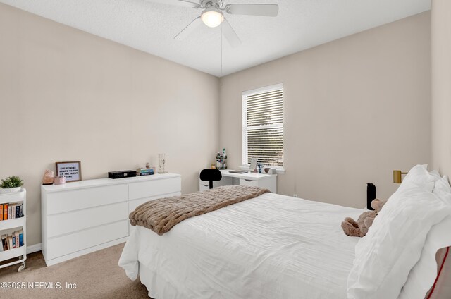 2622 Kermit Ct, Orange Park, FL 32065