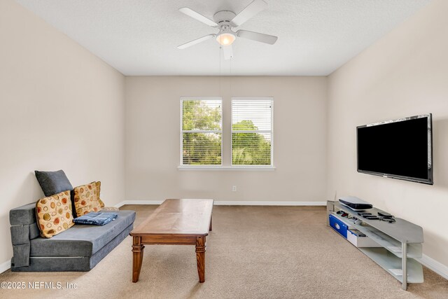 2622 Kermit Ct, Orange Park, FL 32065