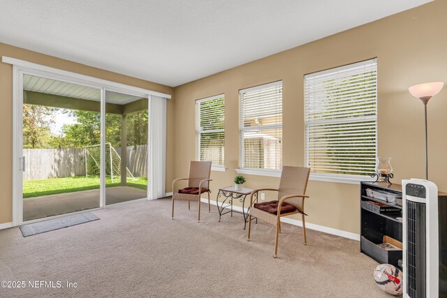 2622 Kermit Ct, Orange Park, FL 32065