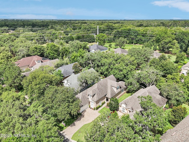 4640 Tuscan Wood Ct, Saint Augustine, FL 32092 - bird's eye view of a heavily wooded area