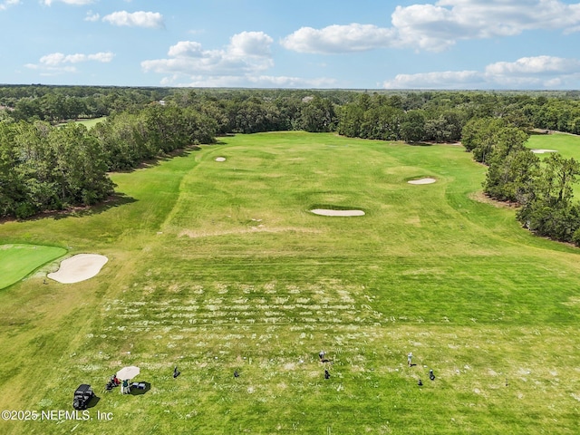 4640 Tuscan Wood Ct, Saint Augustine, FL 32092 - aerial view of a local golf course
