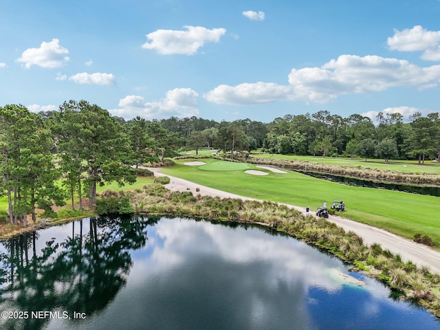 4640 Tuscan Wood Ct, Saint Augustine, FL 32092 - bird's eye view of a nearby body of water and a golf course