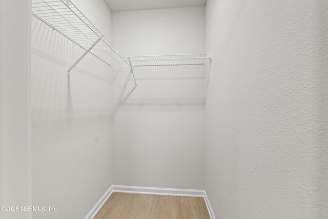 5969 Flicker Ave, Jacksonville, FL 32219 - walk in closet featuring wood finished floors