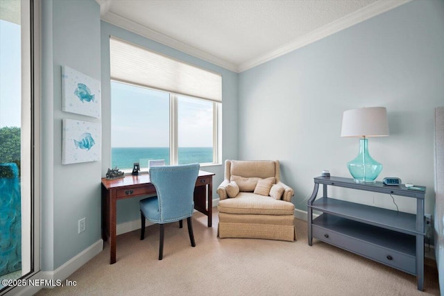 1031 1st St S Unit 1202, Jacksonville Beach, FL 32250 - carpeted home office featuring ornamental molding, baseboards, and a water view